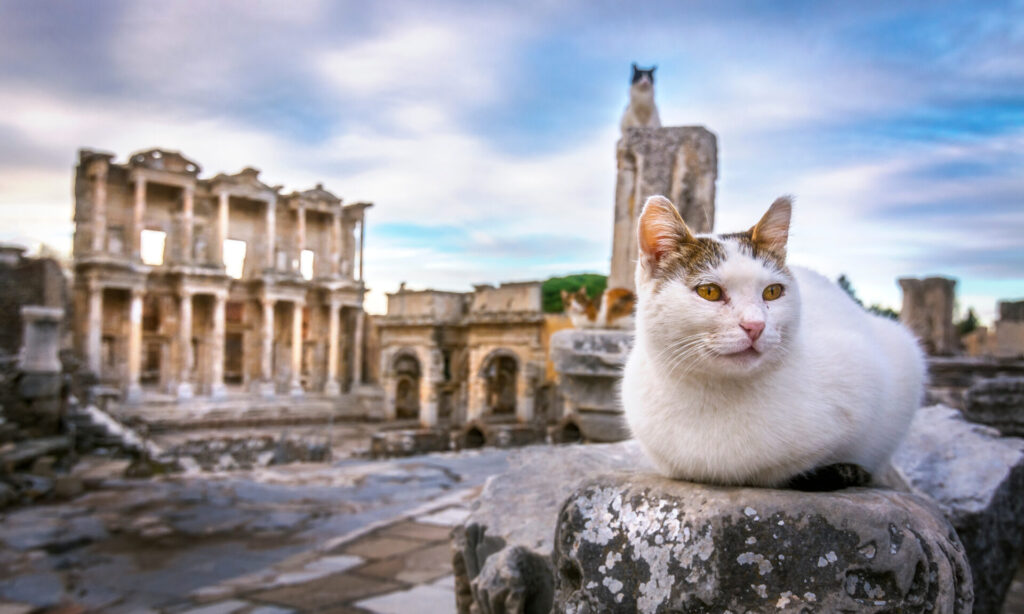 UNESCO World Heritage Site Ephesos in Turkey
