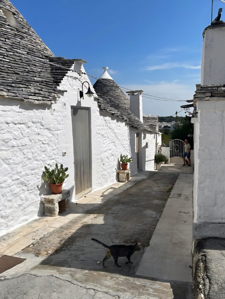 Alberobello street with cat