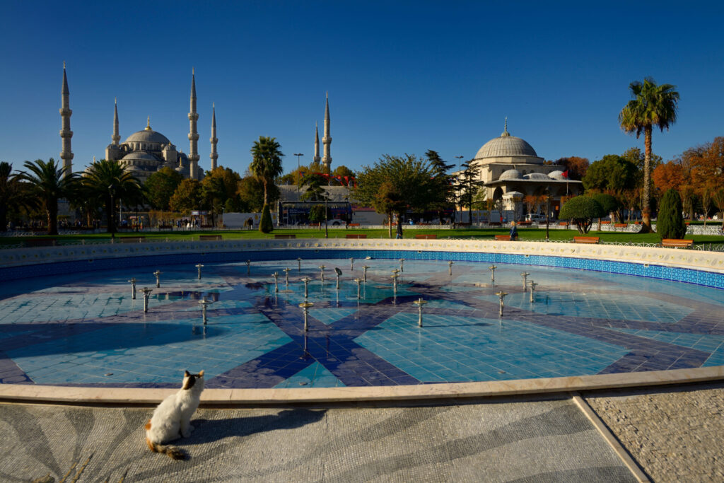Blue Mosque fountain