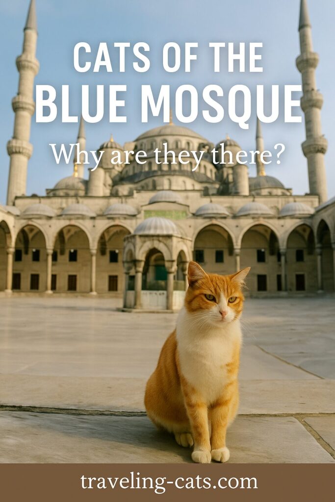 Blue Mosque in Istanbul