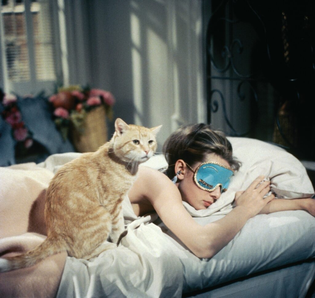 Orangey in Breakfast at Tiffany's