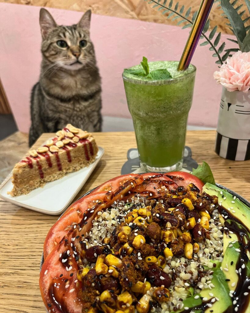 cat café menu