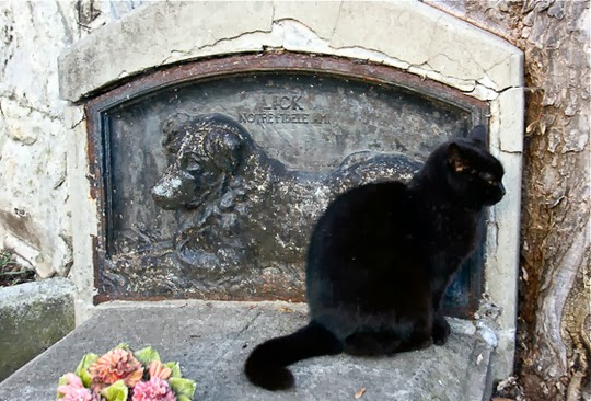 cimetière des chiens Paris