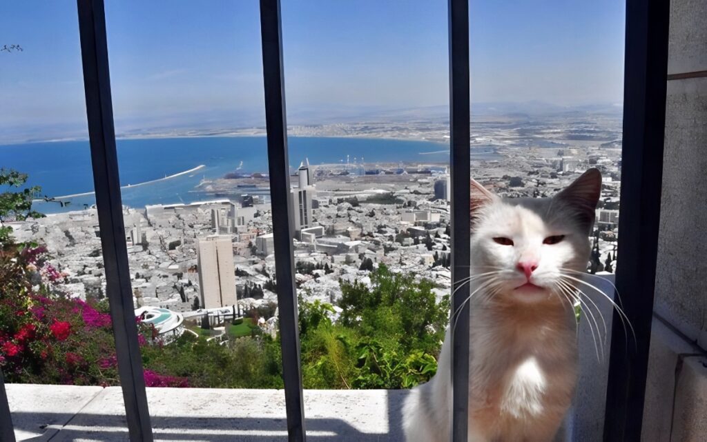 Haifa Israel