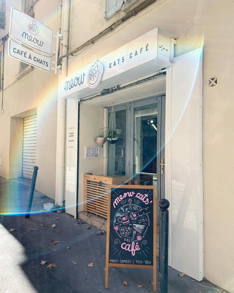 Meow Cats Café exterior