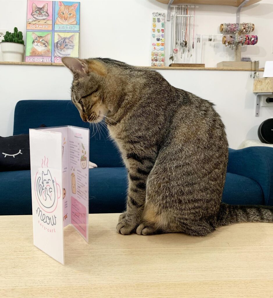 Meow menu