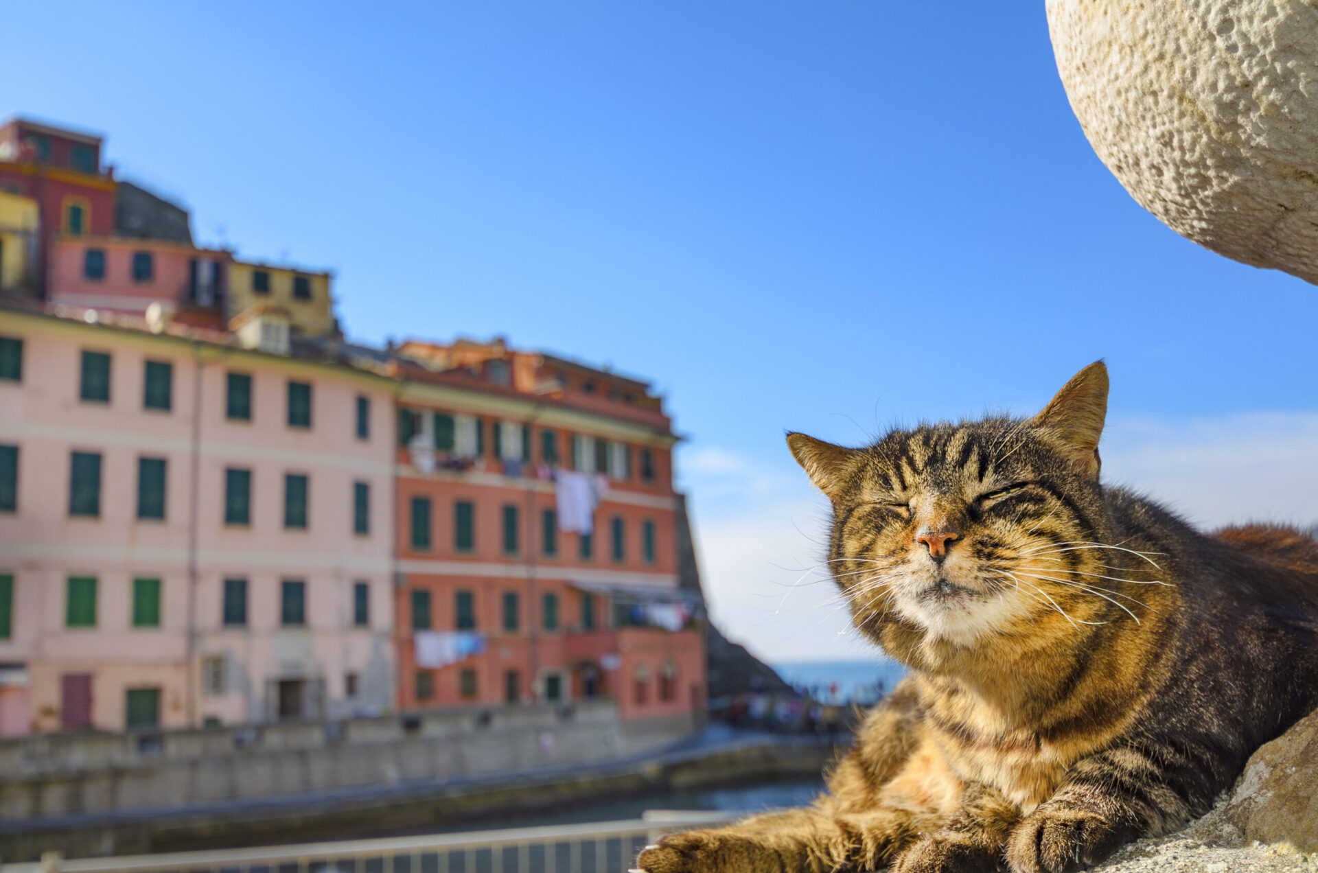 Vernazza Cinque Terre day trip