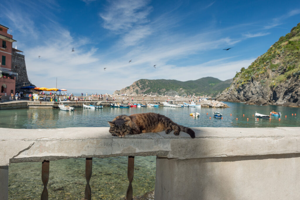 Vernazza harbor