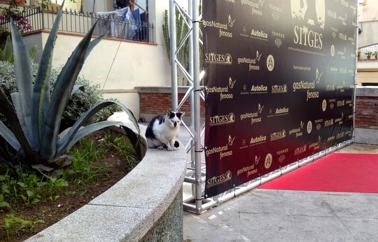 Sitges Film Festival Retiro