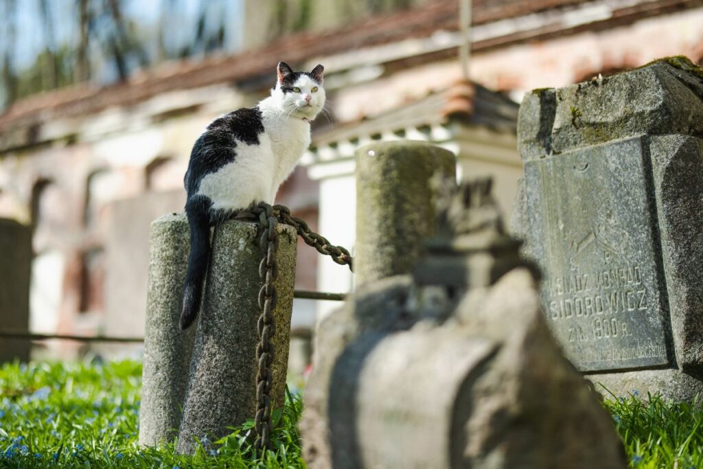 Bernardine Cemetery in Vilnius, Lithuania