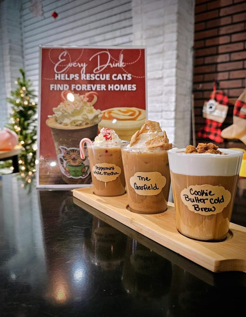 Christmas coffee at the Chatty Catty Cat Cafe in Ohio
