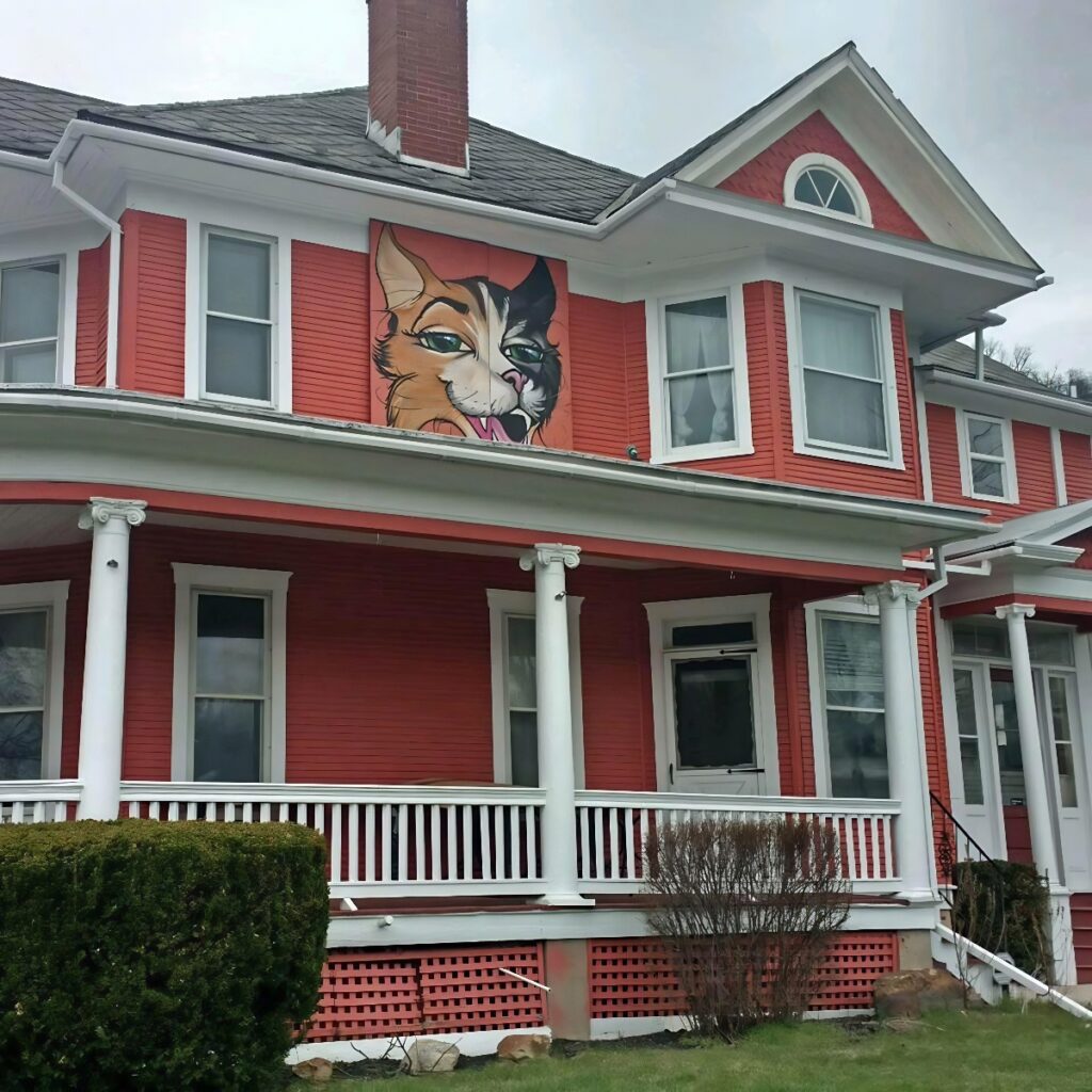 Give Purrs a Chance in Berkeley Springs