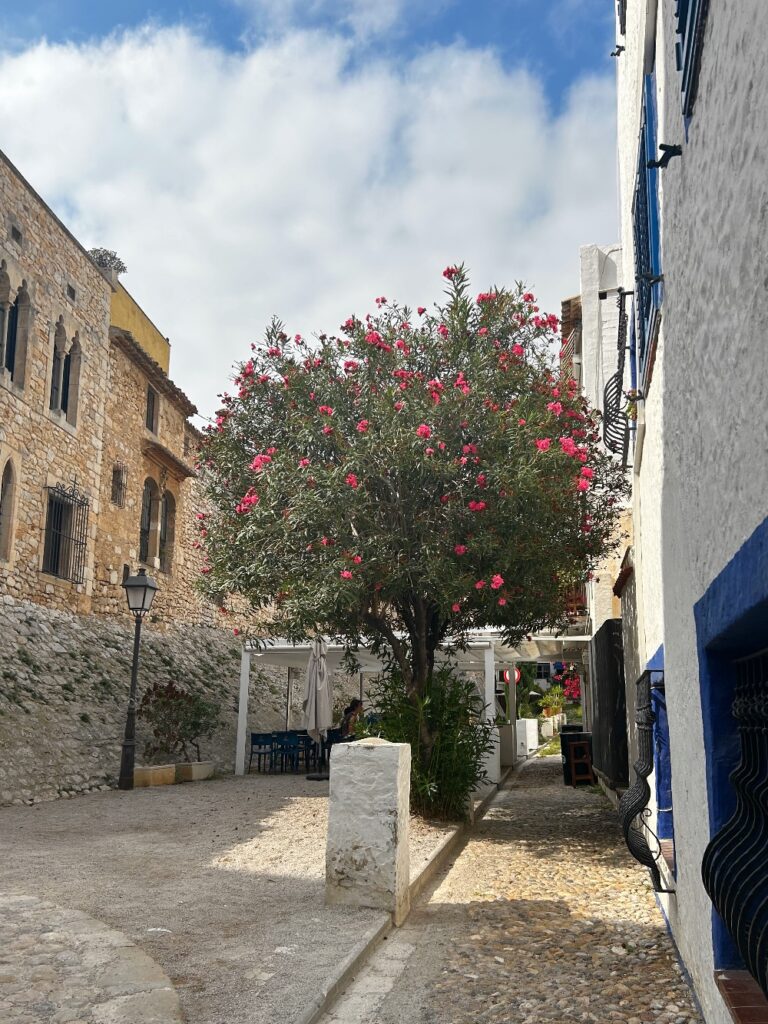 La Guineu Sitges
