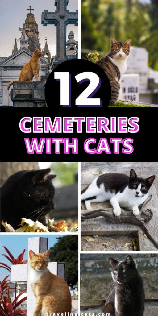 most beautiful cemeteries