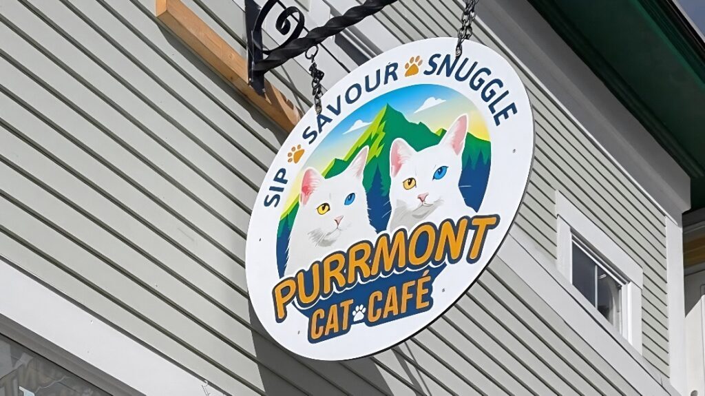 Purrmont Cat Café