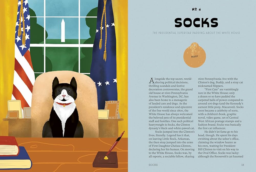 Socks president cat