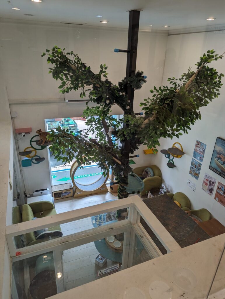 Ask Penthouse in Bangkok Thailand