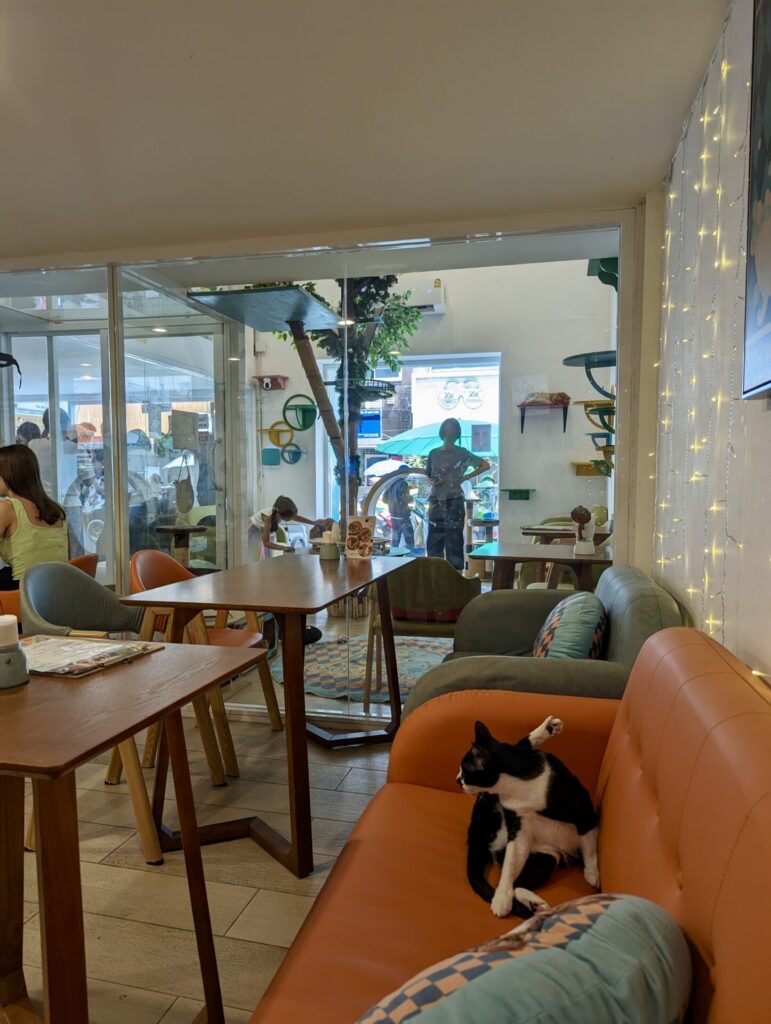 Asok Penthouse Bangkok