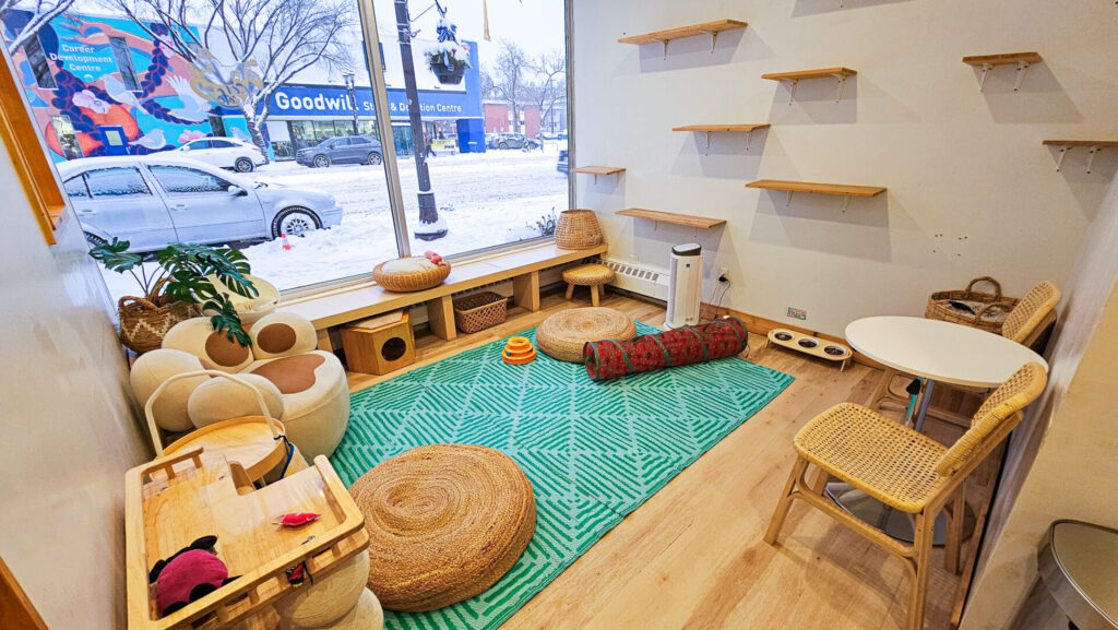 Cat Café on Whyte in Edmonton, Alberta