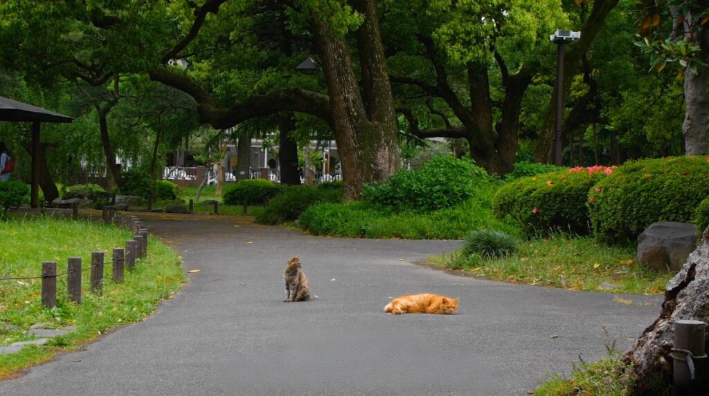 Hibiya cat park