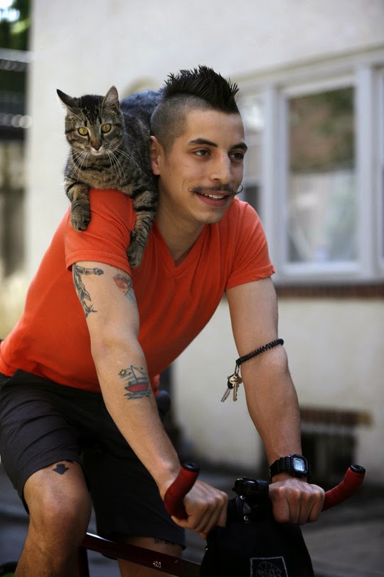 cat on bike
