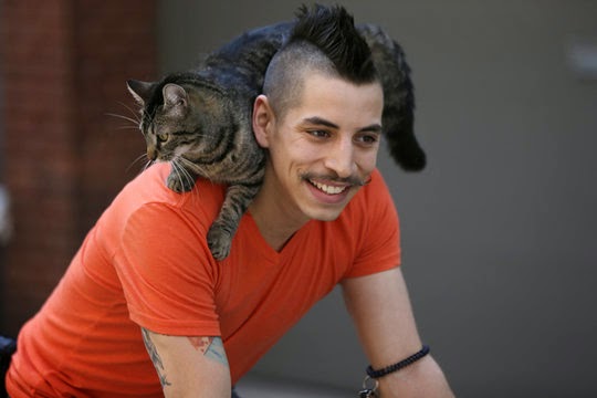 cat on shoulder