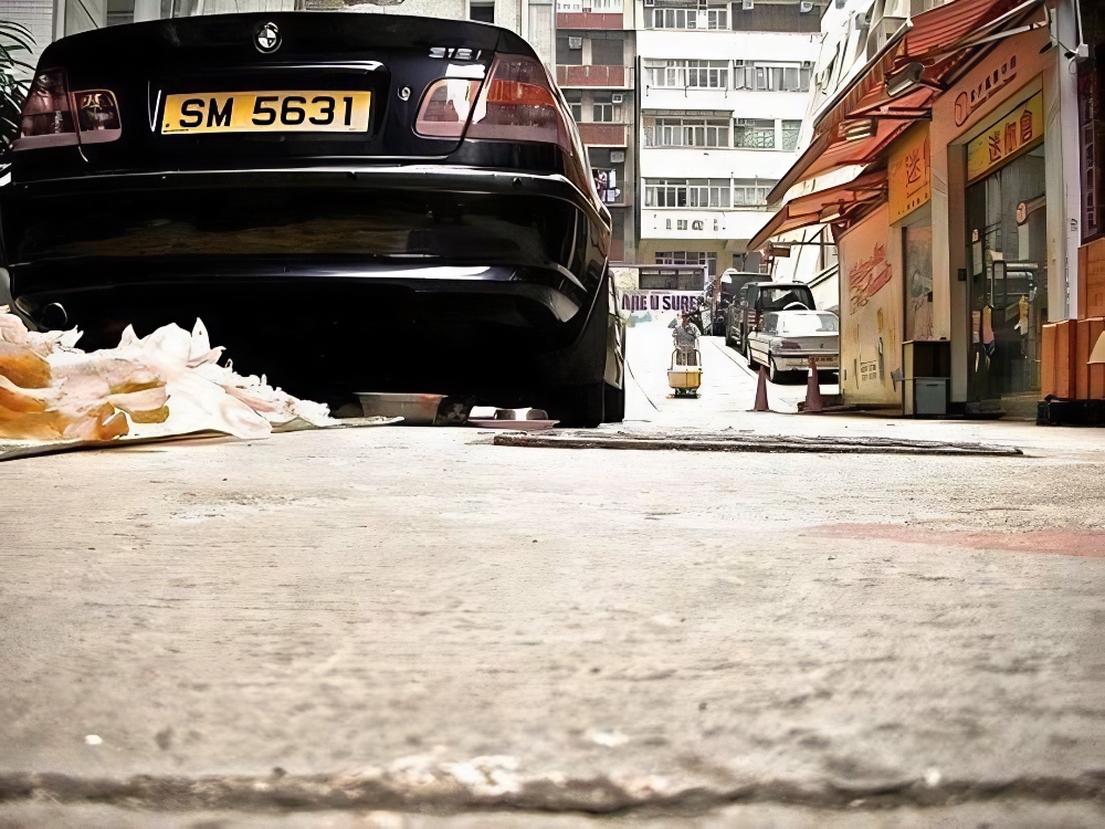 Hong Kong cat hiding underneath car