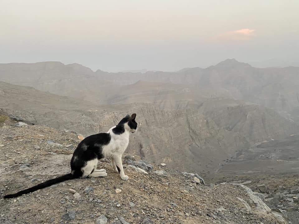 Jabel Jais UAE