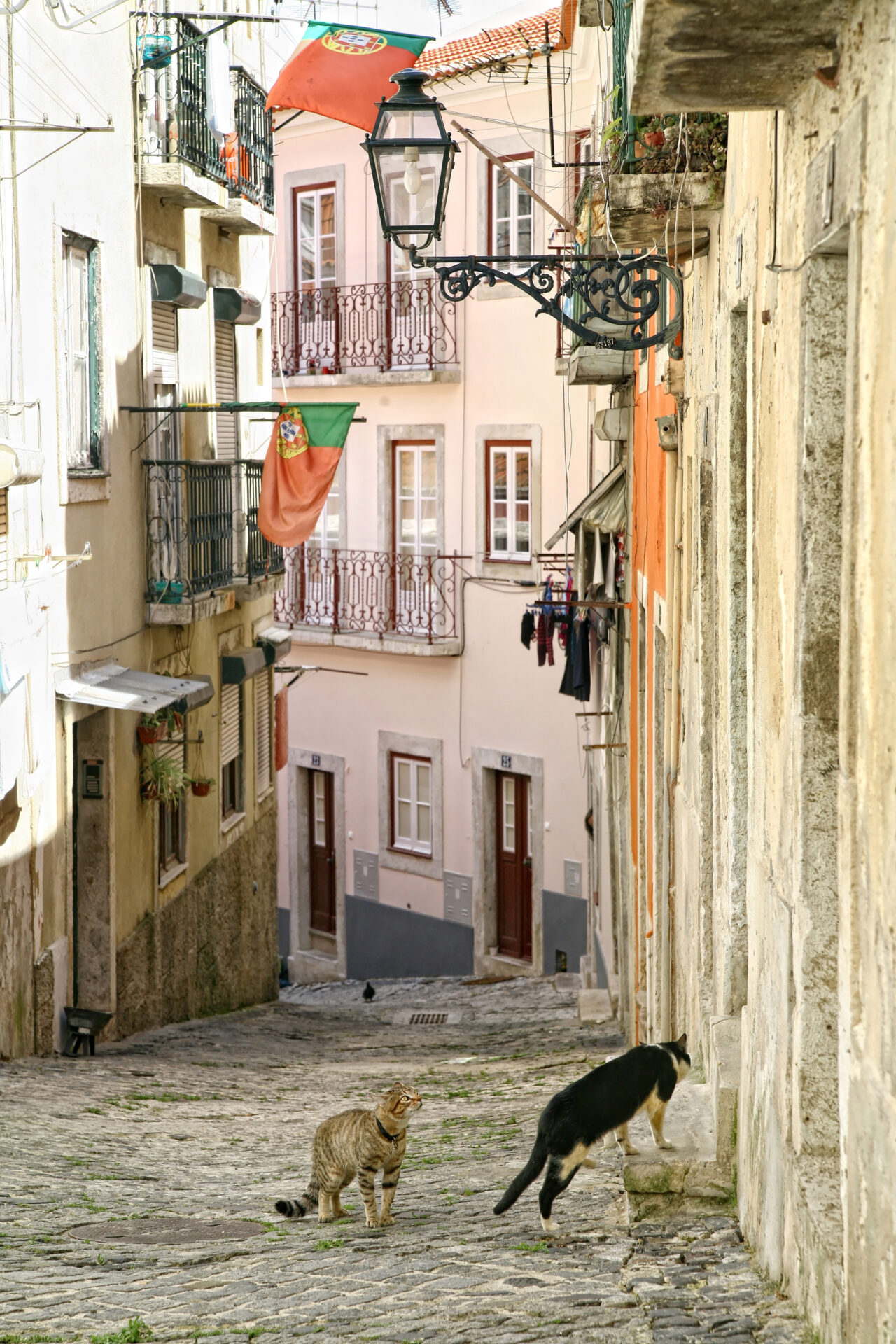 Lisbon itinerary