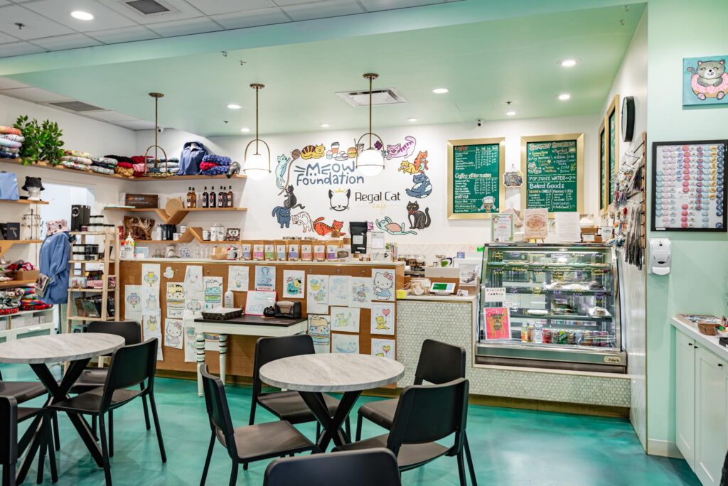 Regal Cat Cafe in Alberta, Canada