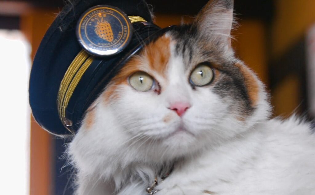 Kishi Station master