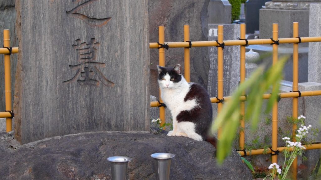 Yanaka Cemetery
