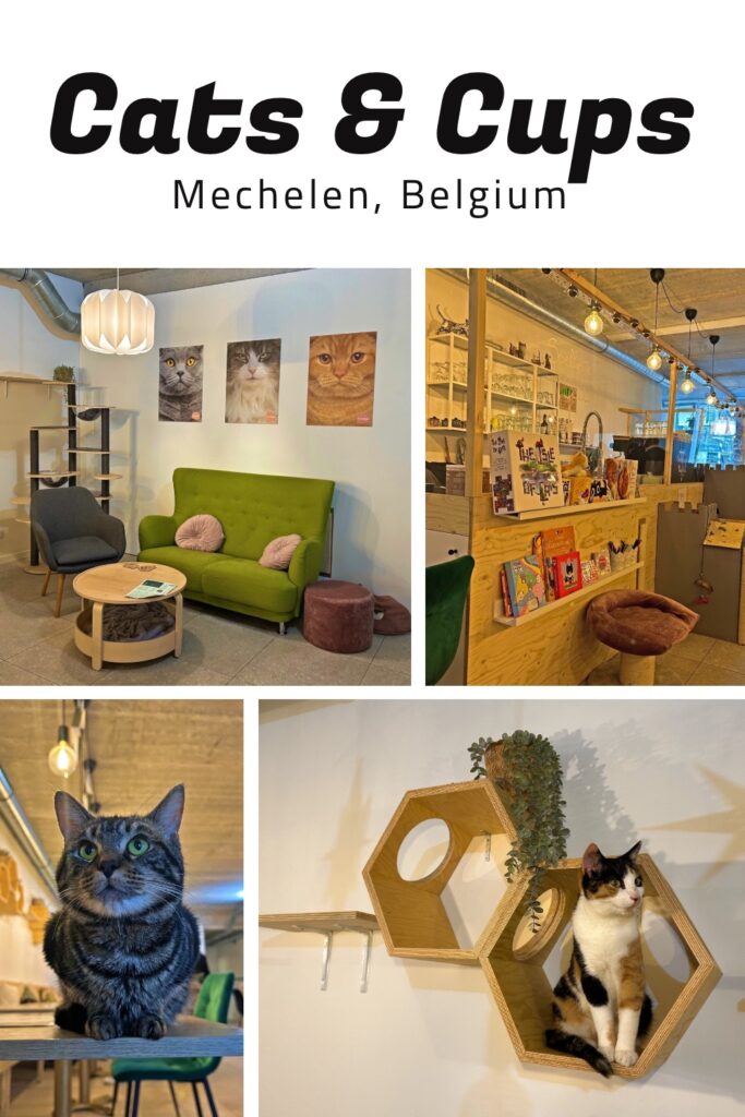 Mechelen hotspots
