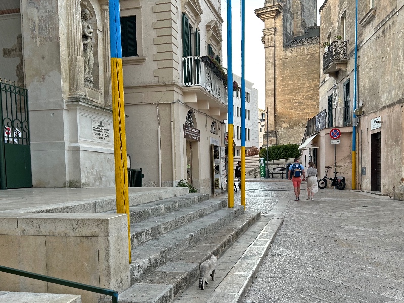Cat in the center of Matera