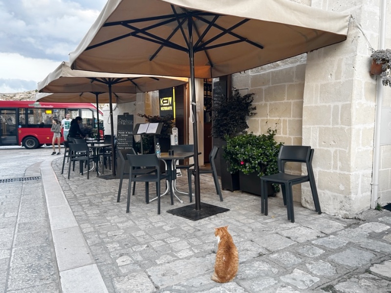 Keiv restaurant in Matera