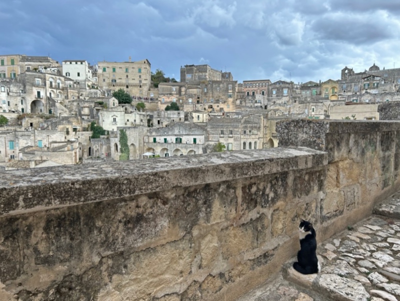 Matera viewpoint