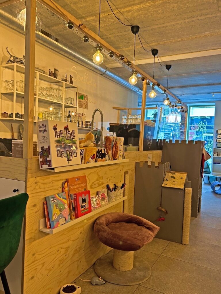Mechelen café