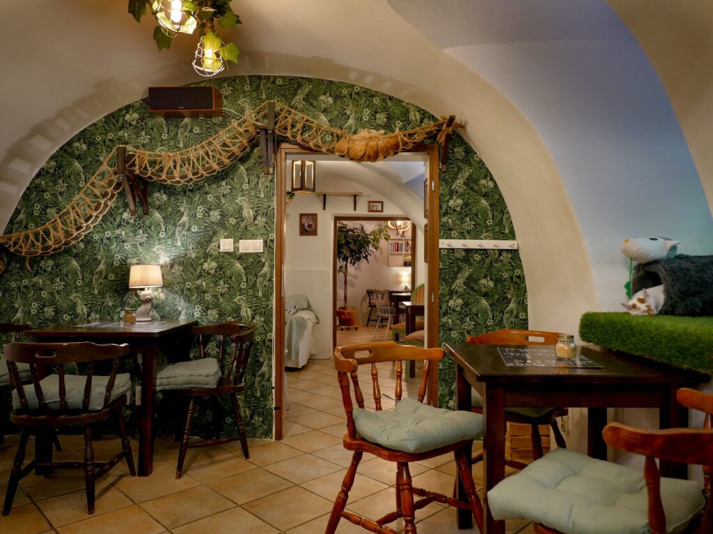 Mňau Kafé Košice