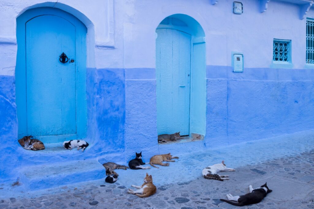 blue city Morocco