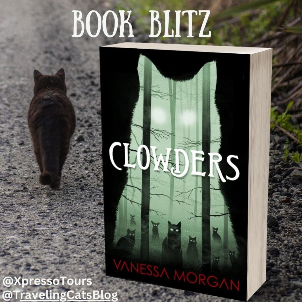 book blitz
