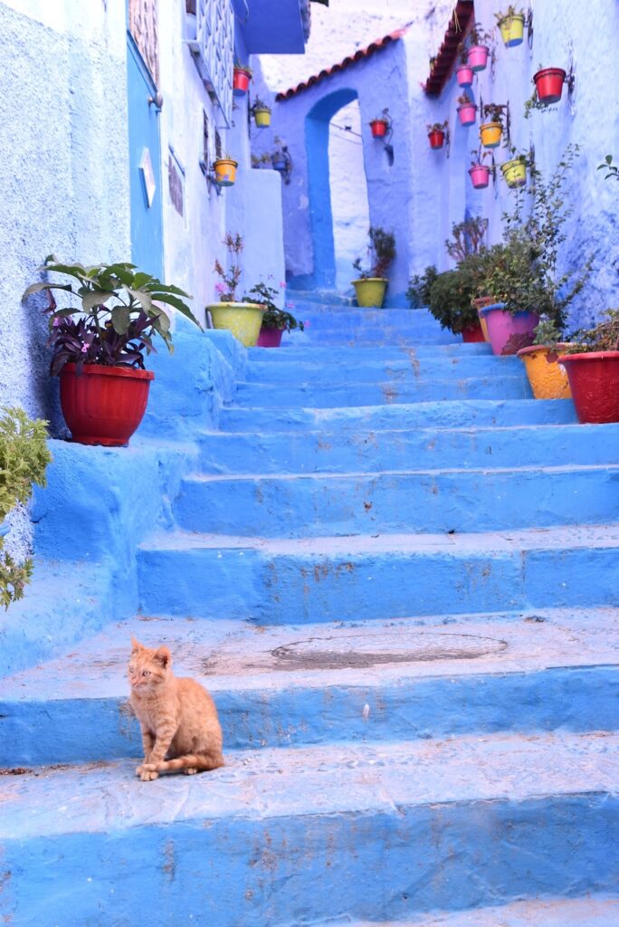 Chefchaouen blue city