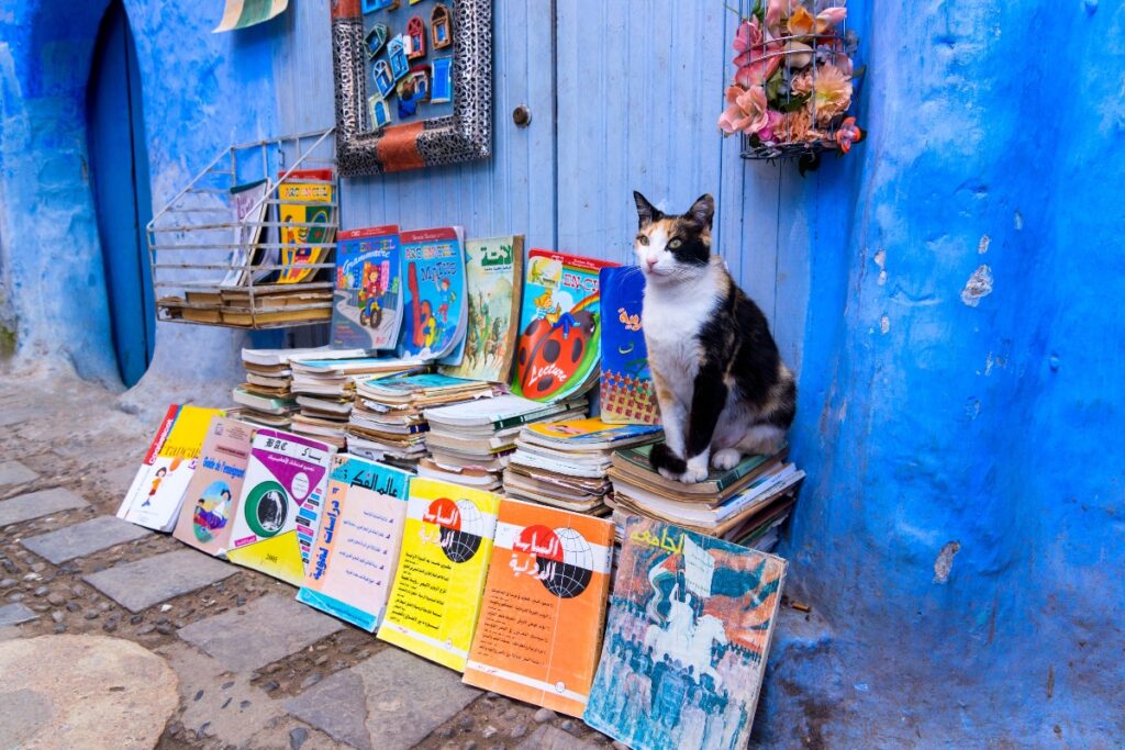 Chefchaouen Morocco