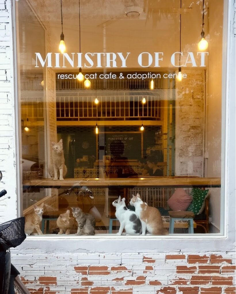Ministry of Cat