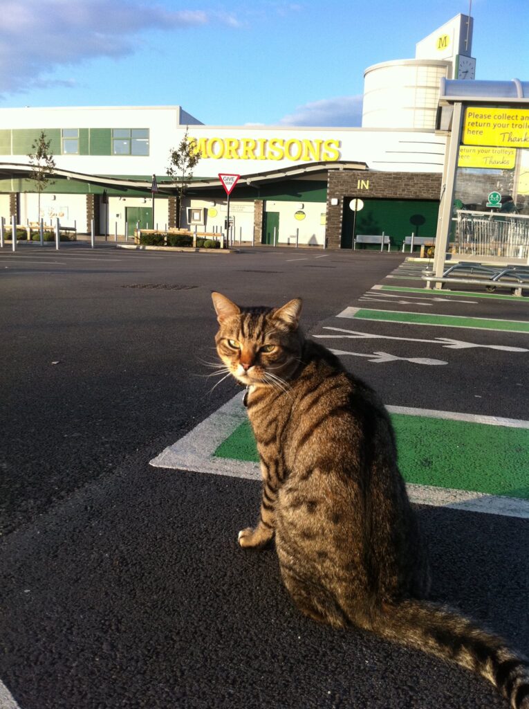 Morrisons supermarket