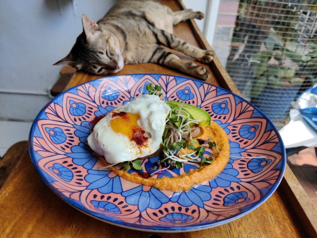 Ministry of Cat menu