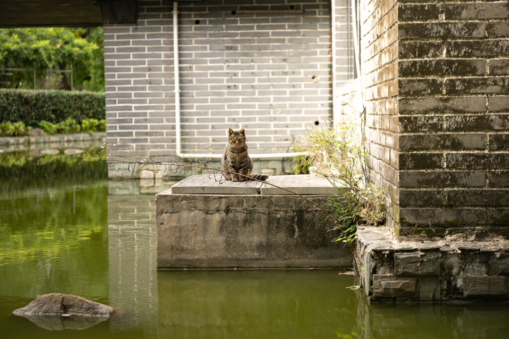 Shanghai Gutchen Park