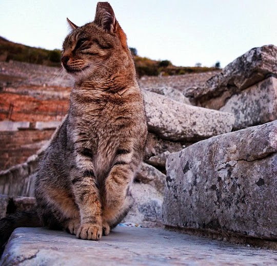 ancient city of Ephesus Turkey