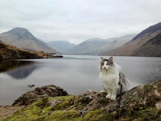 Lake District Wasdale