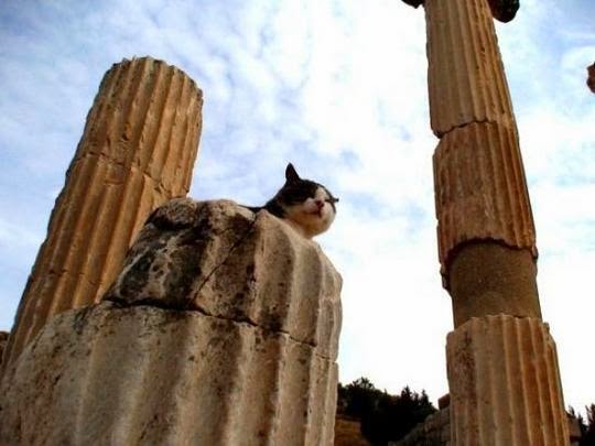 ancient city of Ephesus Turkey