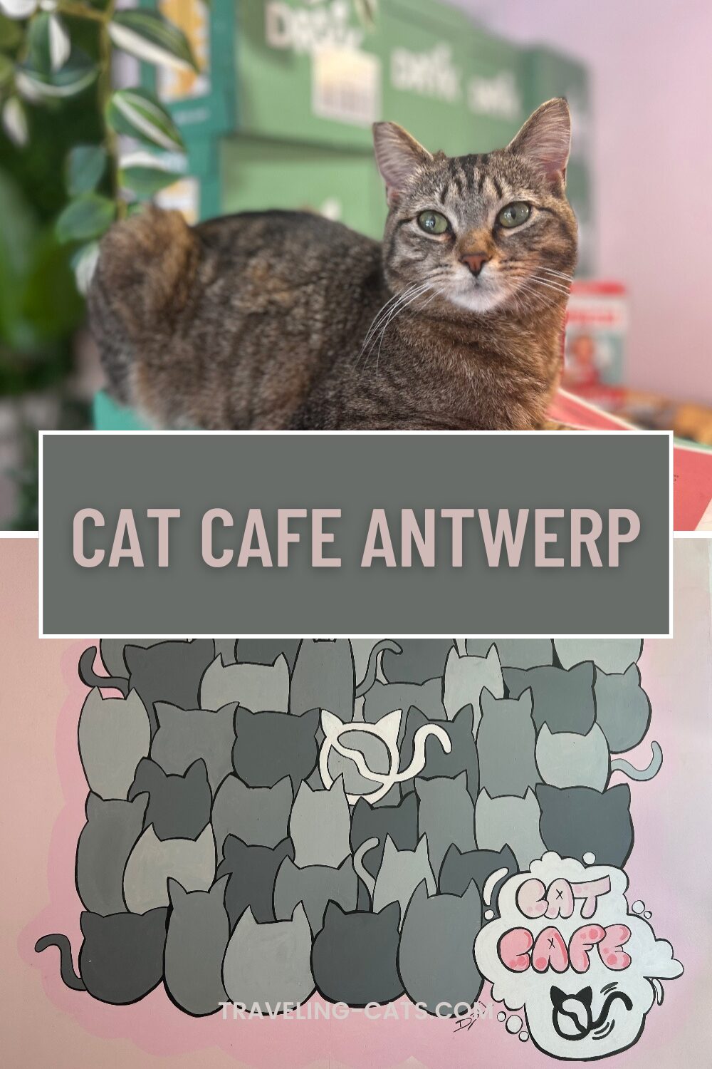 Antwerpen hotspots